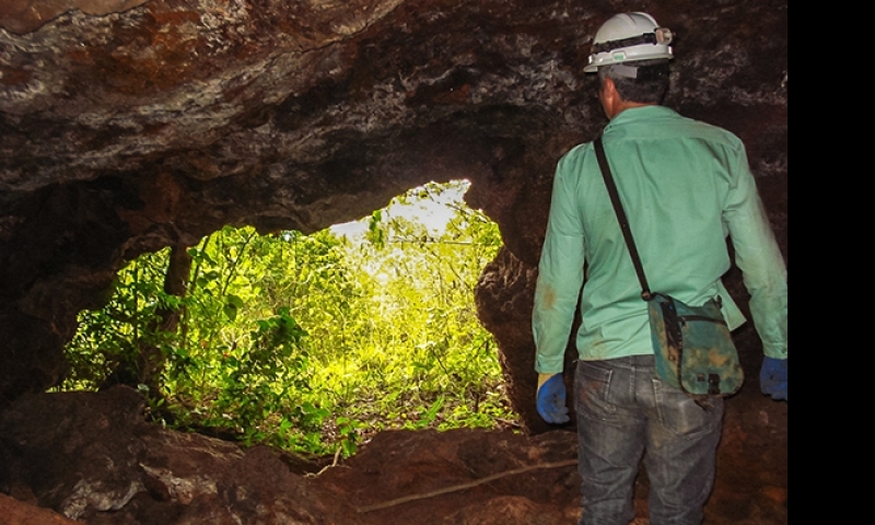Pará vai abrigar maior parque de cavernas em rochas ferríferas do mundo