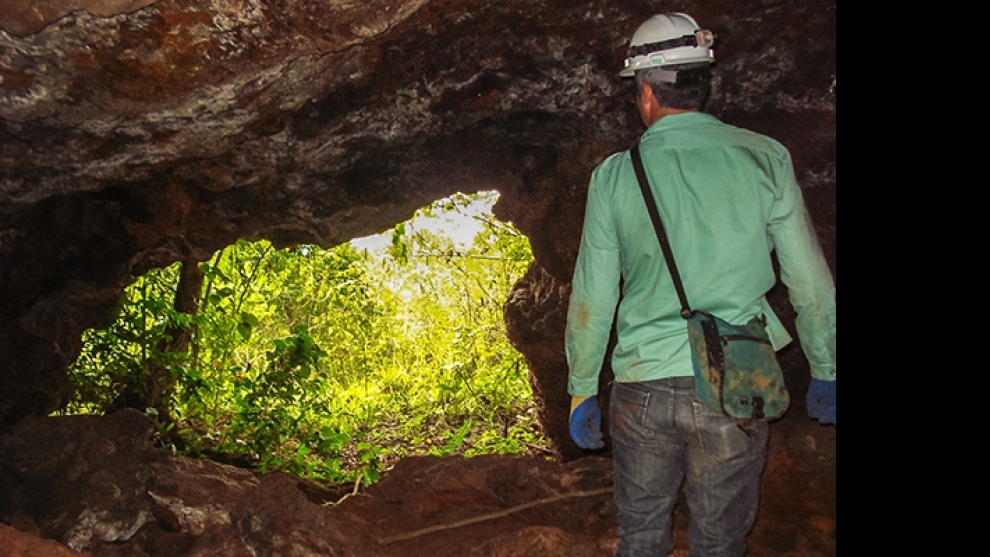 Pará vai abrigar maior parque de cavernas em rochas ferríferas do mundo